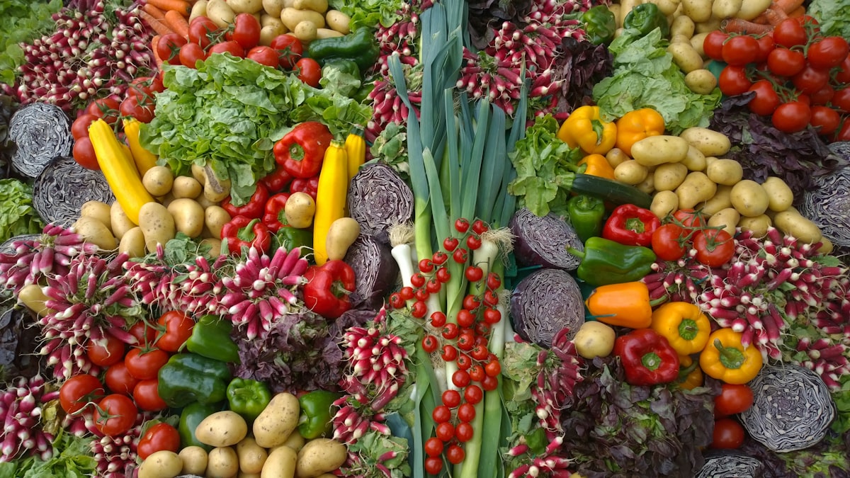 Campi di verdure biologiche a foglia in Campania